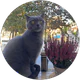 Emel Akbaş profil fotoğrafı