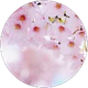 aysenur profil fotoğrafı
