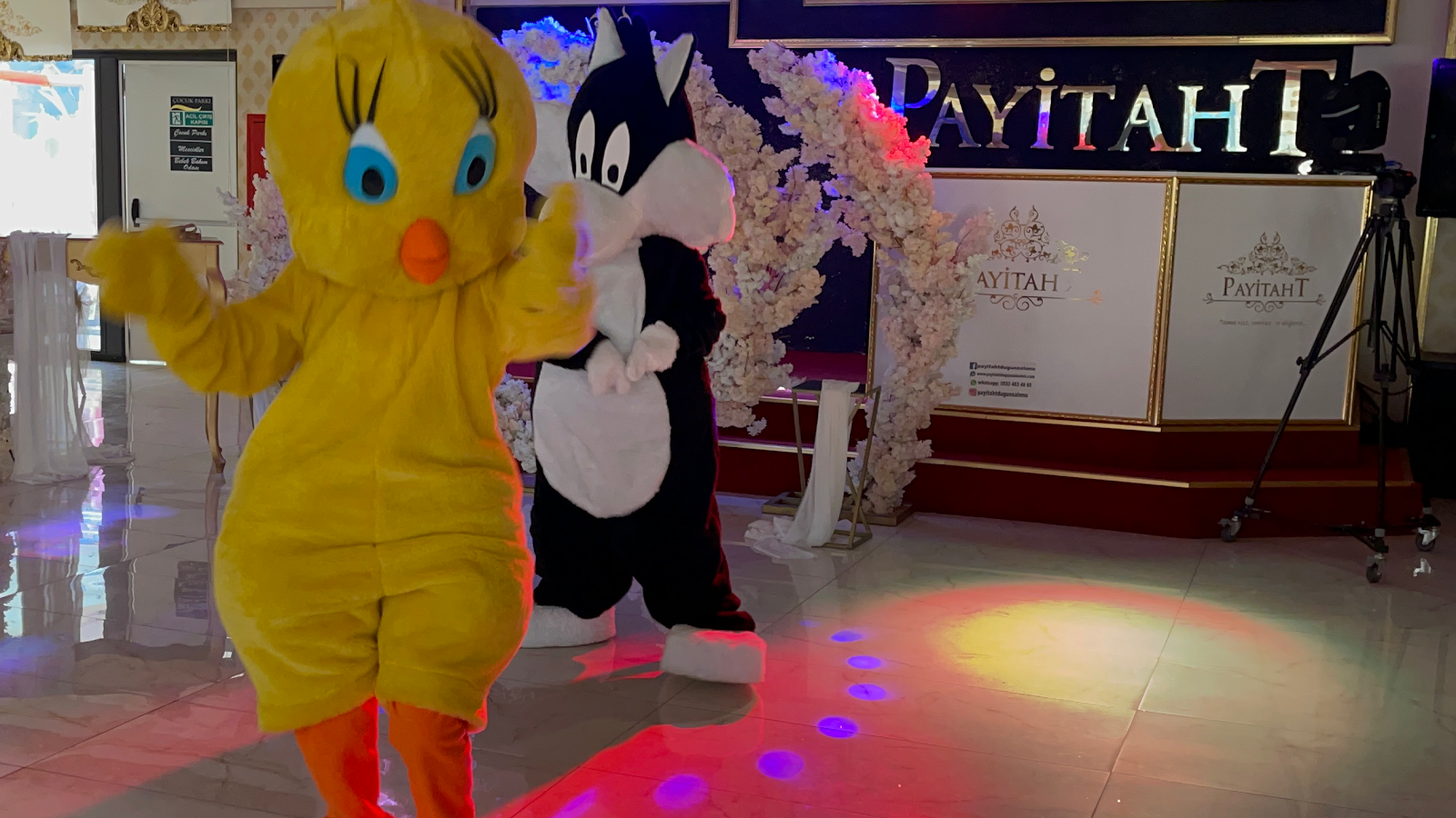 Payitaht Düğün Salonları Sakarya kır düğünü mekanı — Serdivan