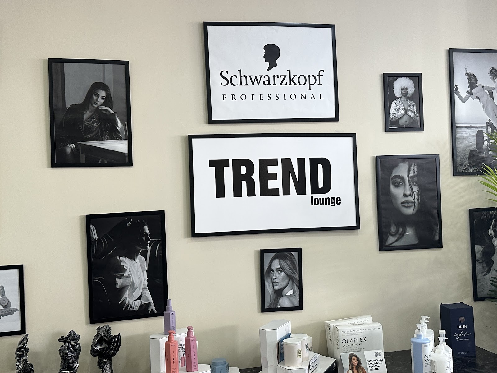 Trend Lounge kır düğünü mekanı — Adapazarı
