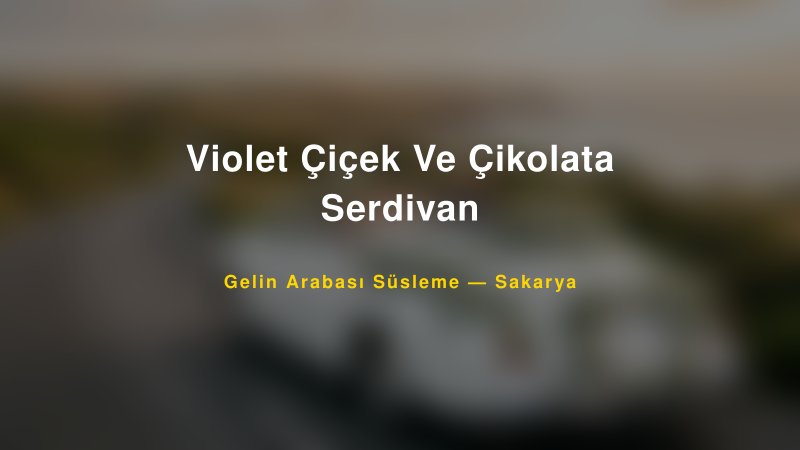 Violet Çiçek Ve Çikolata Serdivan Gelin Arabası Süsleme Fiyatları